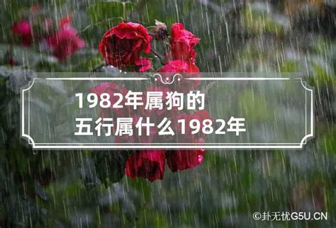 1982生肖狗|1982年属什么 1982年属什么五行